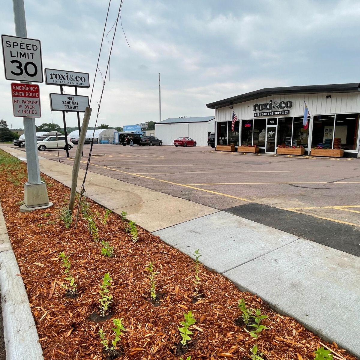 Newly planted boulevard outside Roxi & Co, with neighboring businesses in the background and road construction along 41st Street.