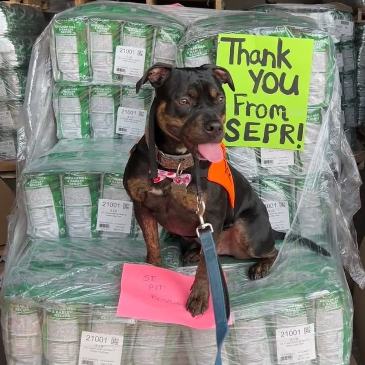 A dog sitting on donated dog food beside a sign reading “Thank You From SEPR!”